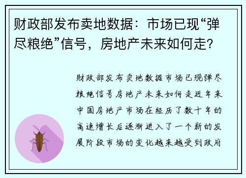 财政部发布卖地数据：市场已现“弹尽粮绝”信号，房地产未来如何走？