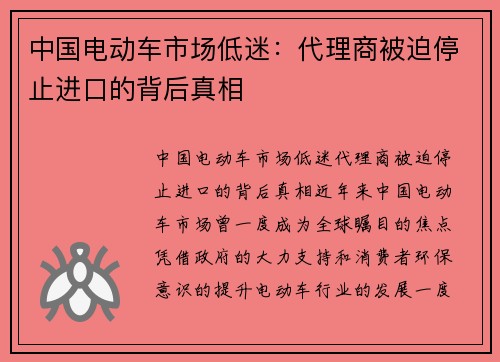 中国电动车市场低迷：代理商被迫停止进口的背后真相